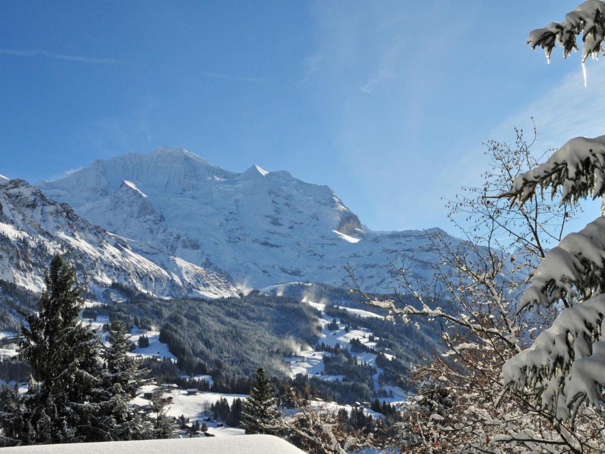 Apartment Goldenhorn Apt-F By Interhome Wengen Exterior foto